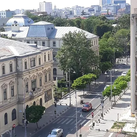 公寓 The Location In The Center With A Terrace